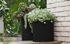 Hot Cylinder Planter Set of 3 - Black Planters