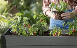 Sale Darwin 29 Gallon Elevated Garden Bed - Graphite Garden Beds