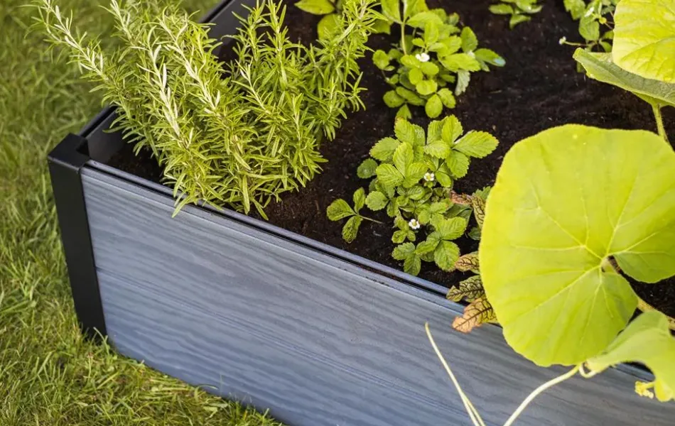 Best Maple Raised Garden Bed - Graphite Garden Beds