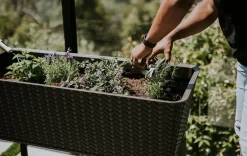 Clearance Splendor 31.7 Gallon Elevated Garden Bed - Brown Garden Beds