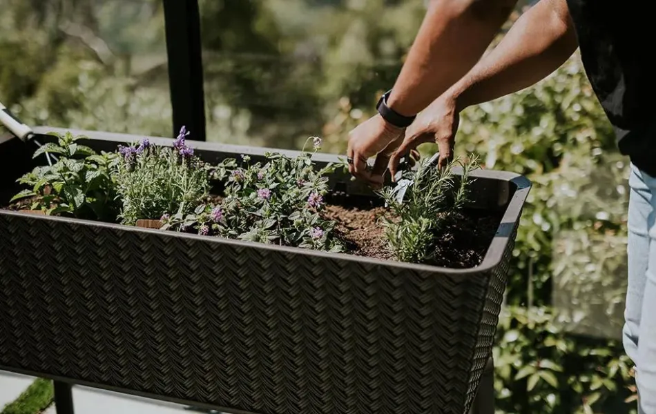 Clearance Splendor 31.7 Gallon Elevated Garden Bed - Brown Garden Beds
