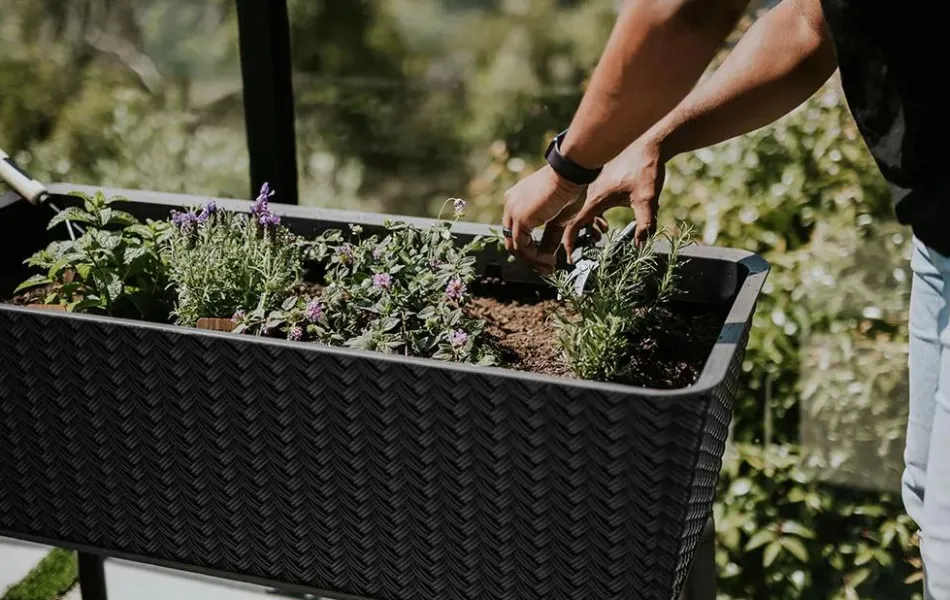 Discount Splendor 31.7 Gallon Elevated Garden Bed - Graphite Garden Beds